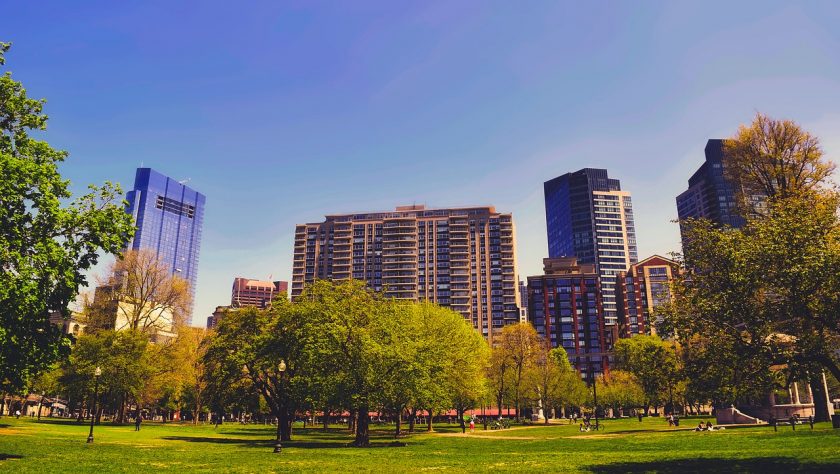 Boston landscape with grassy park in foreground