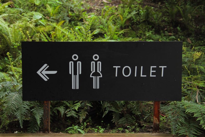 sign with arrow, figures of man and woman and the word "toilet" directing to potty
