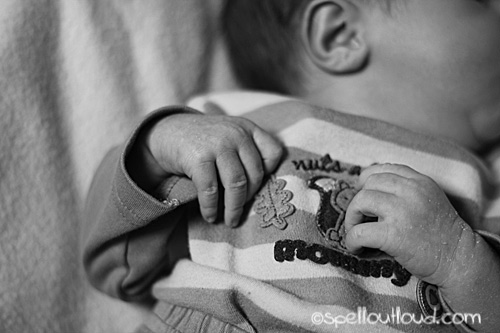 newborn black and white photo