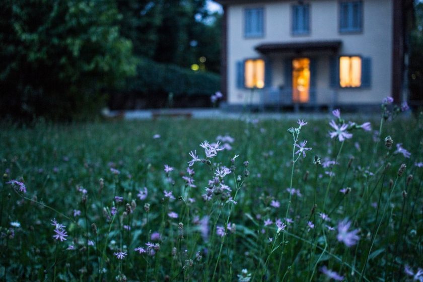 house at twilight with lights on downstairs and lawn with wildflowers