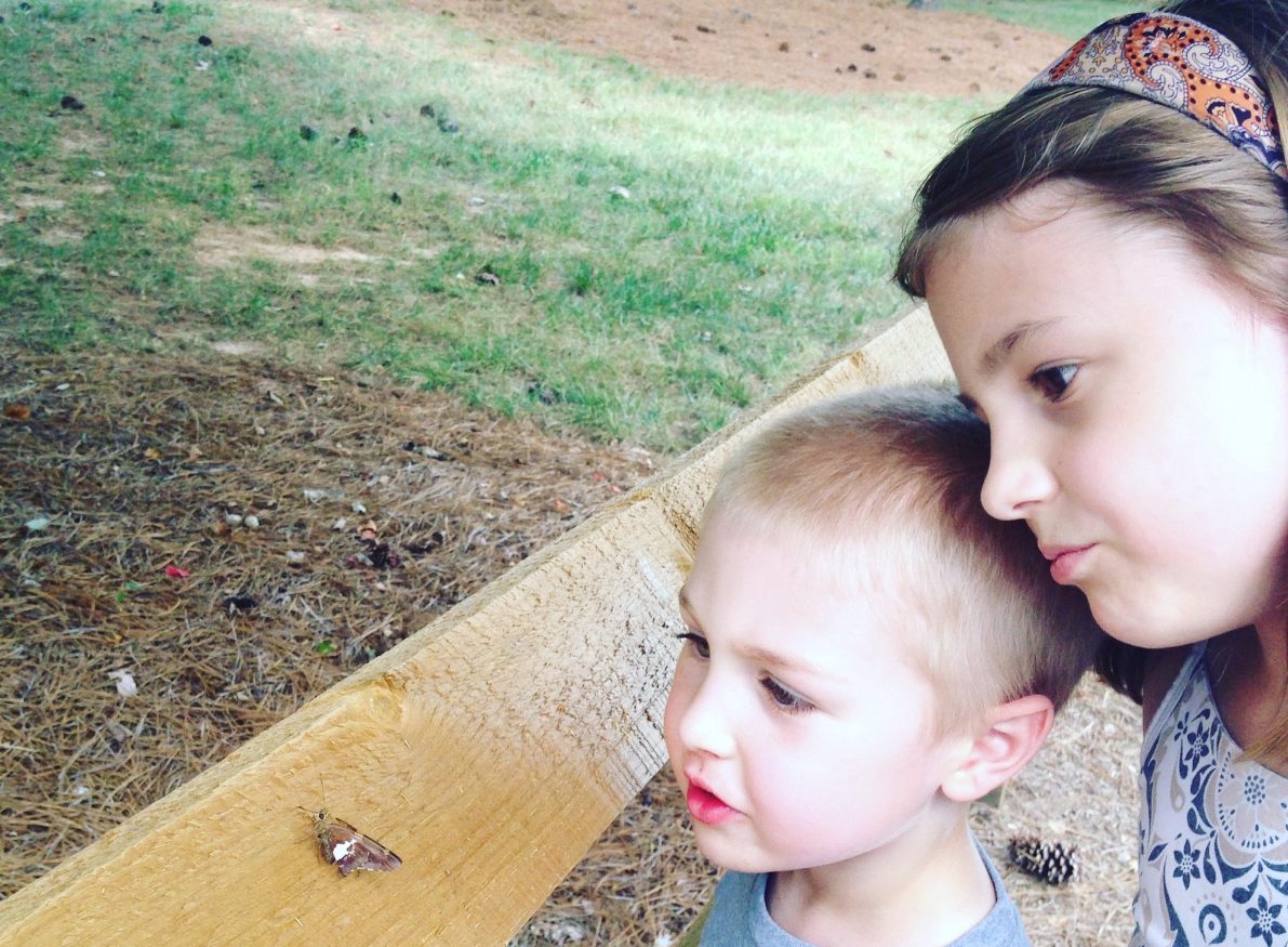 two children studying a moth on a fence