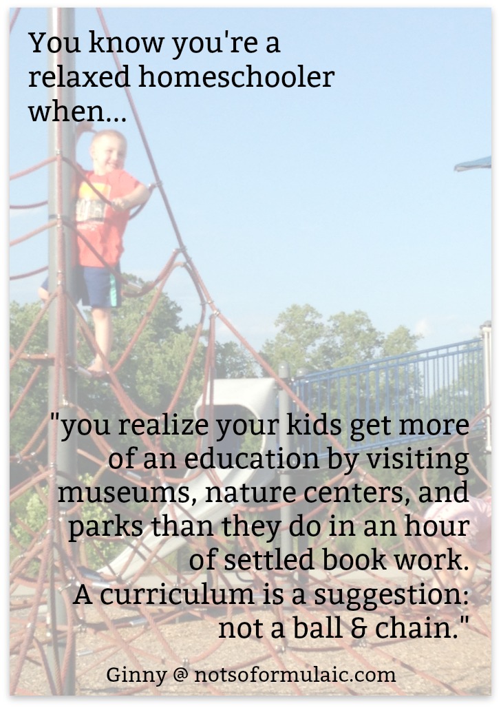 young boy at the top of a rope structure at a playground, with text overlay, "You know you're a relaxed homeschooler when you realize your kids get more of an education by visiting museums, nature centers, and parks than they do in an hour of settled book work. A curriculum is a suggestion: not a ball & chain."