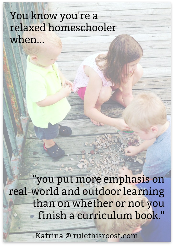 three children playing with rocks on wooden bridge, with text overlay, "You know you're a relaxed homeschooler when you put more emphasis on real-world and outdoor learning than on whether or not you finish a curriculum book."