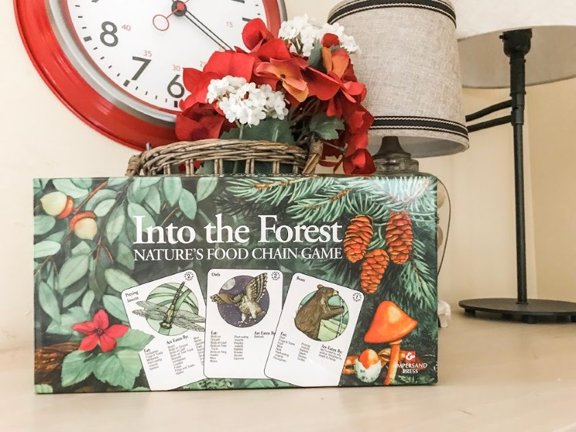 science board game - into the forest on shelf with clock, lamps and flowers in background