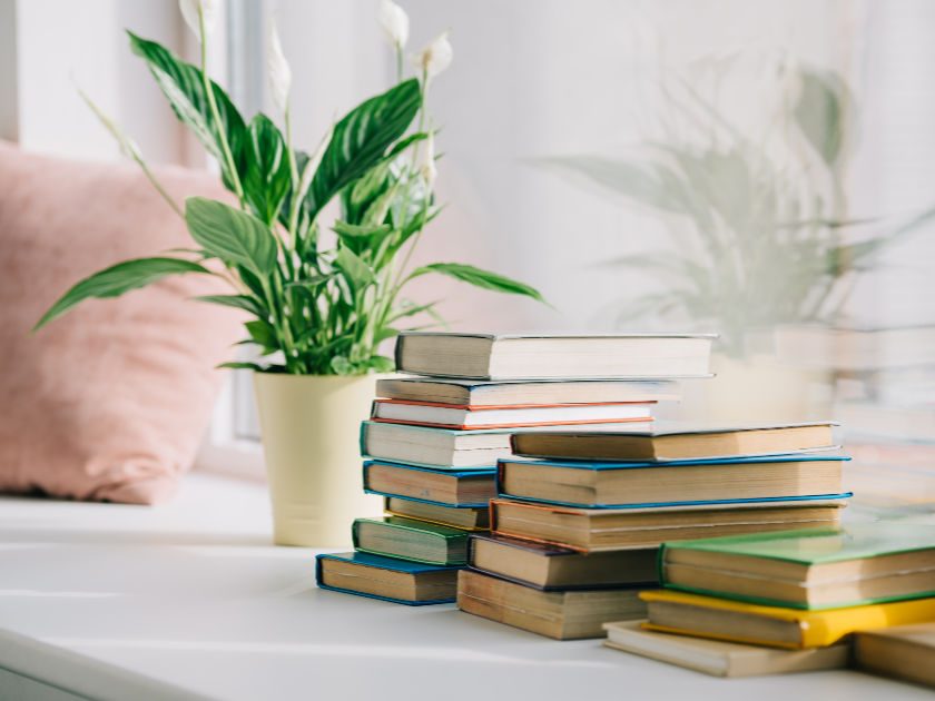 best decluttering books on window seat with plant and pink throw pillow