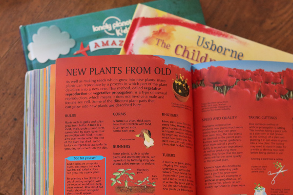 Usborne Book of Science open to page titled, "New Plants from Old"