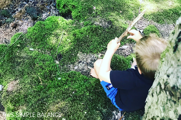 small boy with back against tree whittling stick