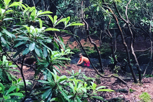 young boy wearing orange bathing suit playing in a creek in the woods