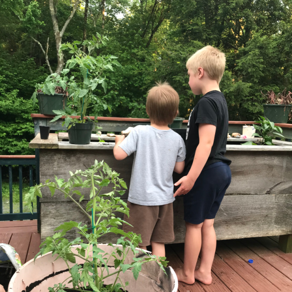 two brothers gardening during homeschool day