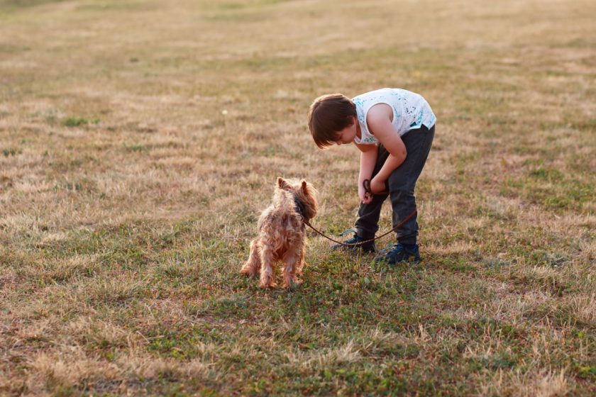 young boy walking dog in middle of a field