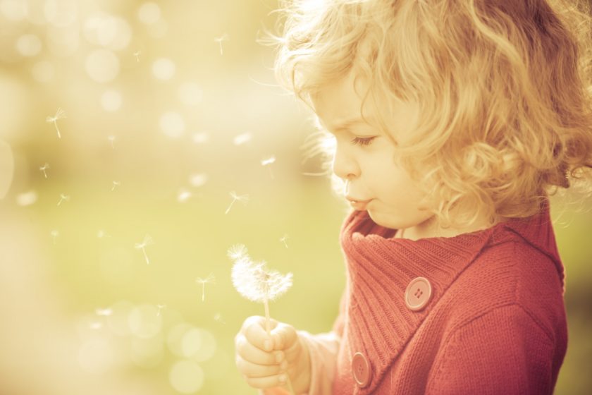 young unschooled girl blowing away dandelion outside