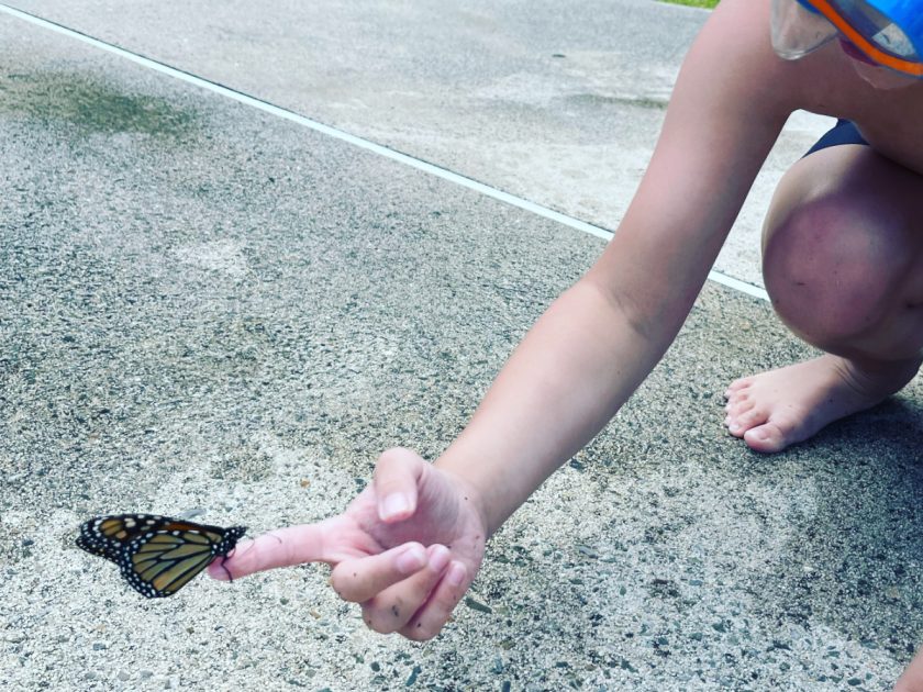 child at the pool holding Monarch butterfly on finger