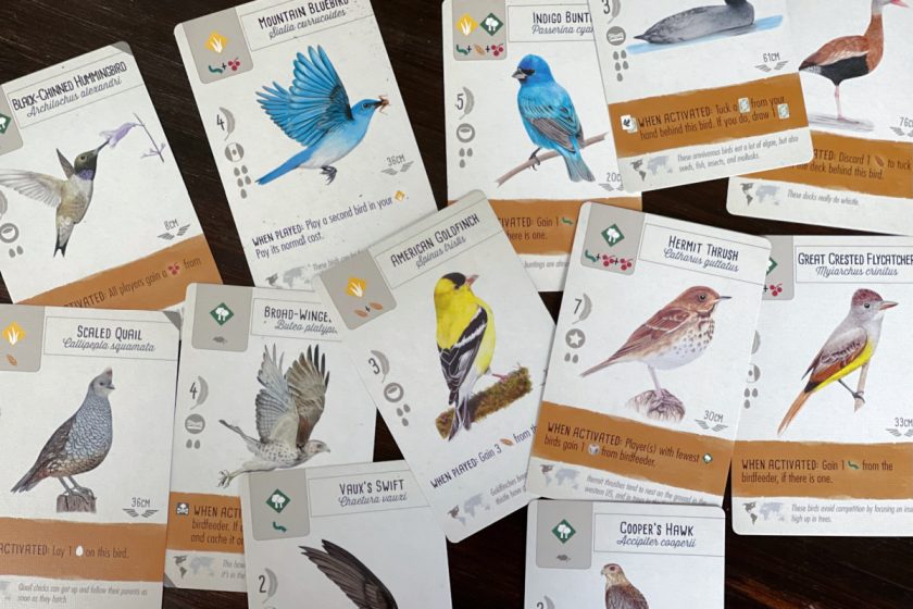 Wingspan bird cards