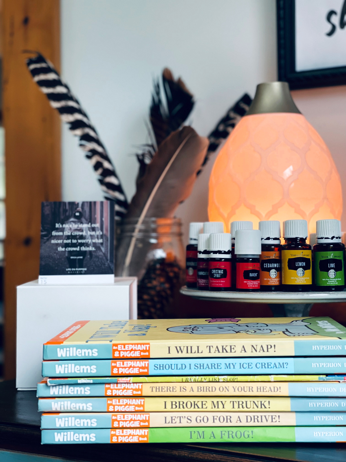 stack of piggie and gerald books on shelf in front of essential oils, lit up diffuser and feathers in mason jar