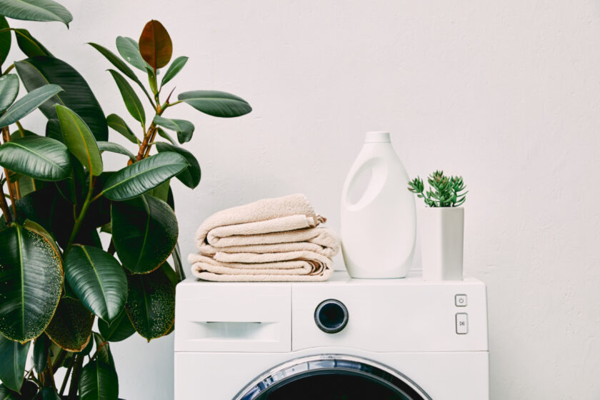 modern laundry room: plant, washing machine with folded towels, detergent bottle on top