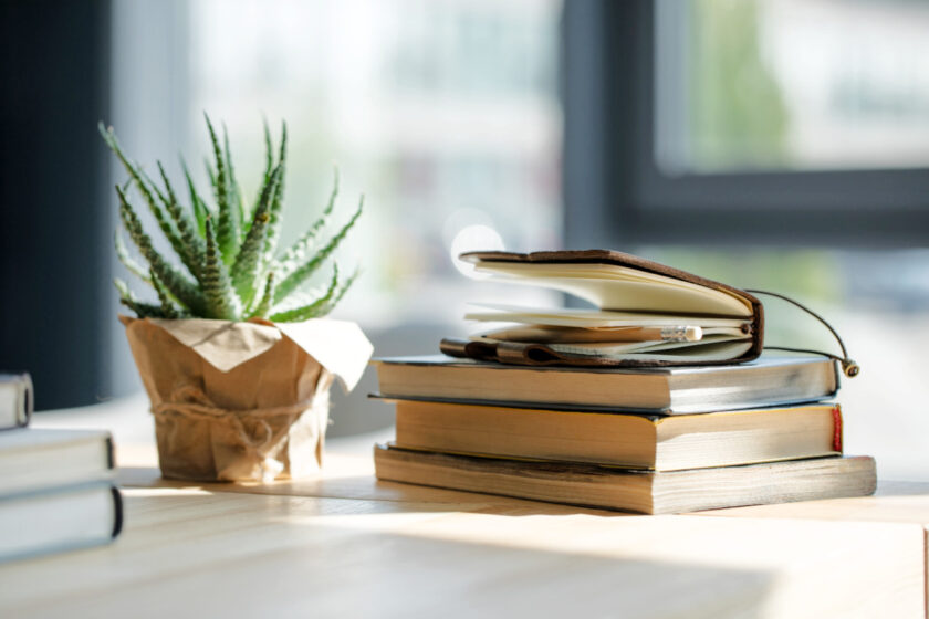 Close-up view of books, notebook with pencil and potted plant on wooden table