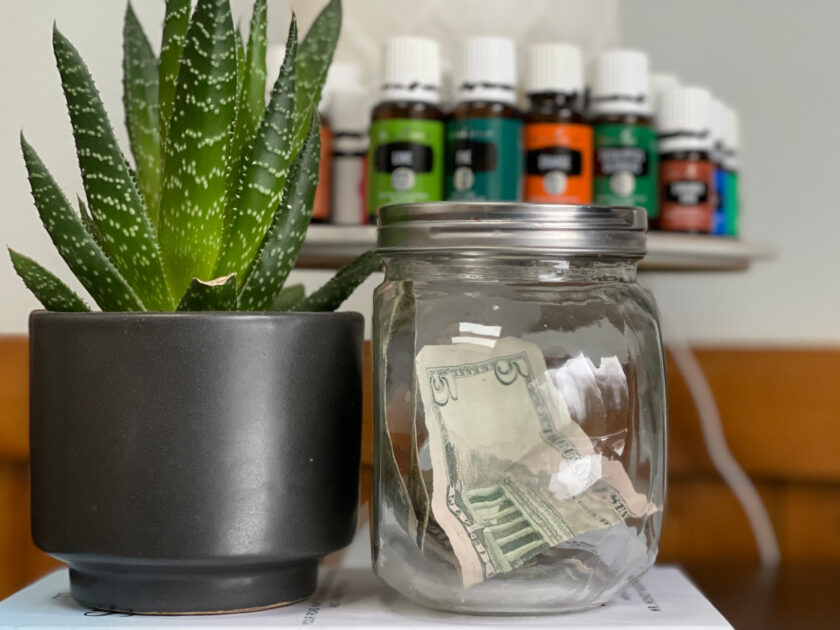 glass jar with $5 bill next to small cactus plant in black planter