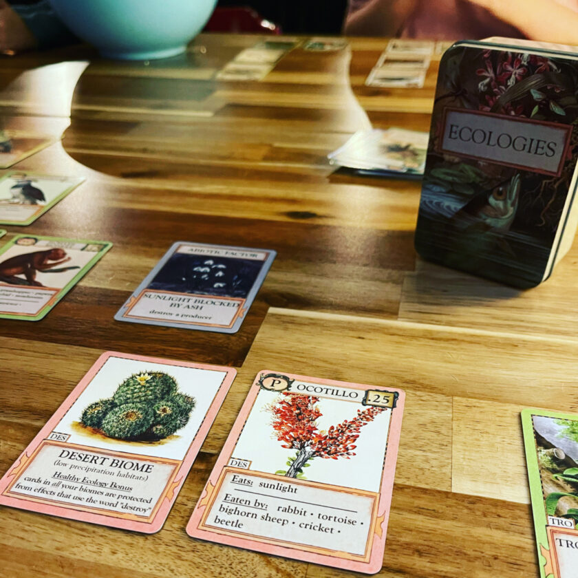 Ecologies card game, with a desert biome card in focus