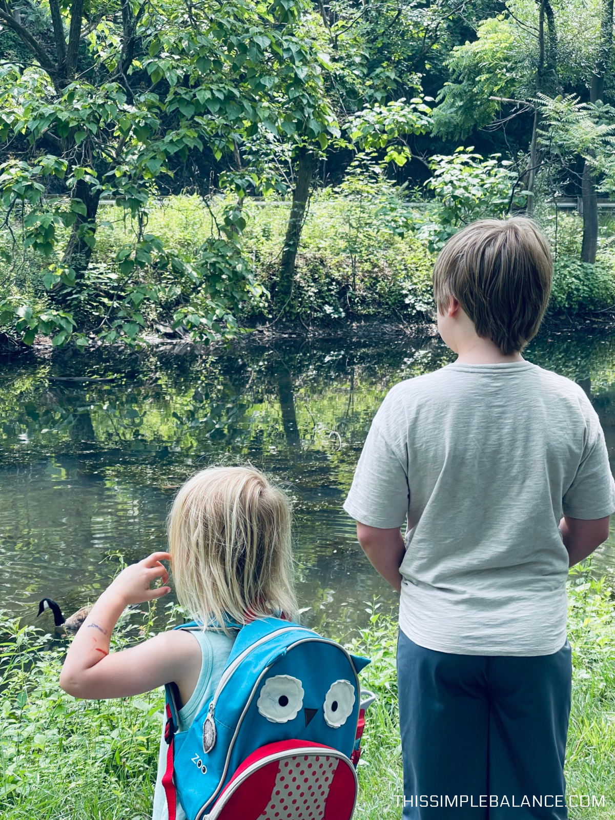 unschooled siblings on nature walk, looking at creatures in the canal.