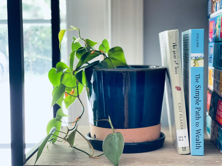 The Year of Less and The Simple Path to Wealth on a shelf next to a plant.