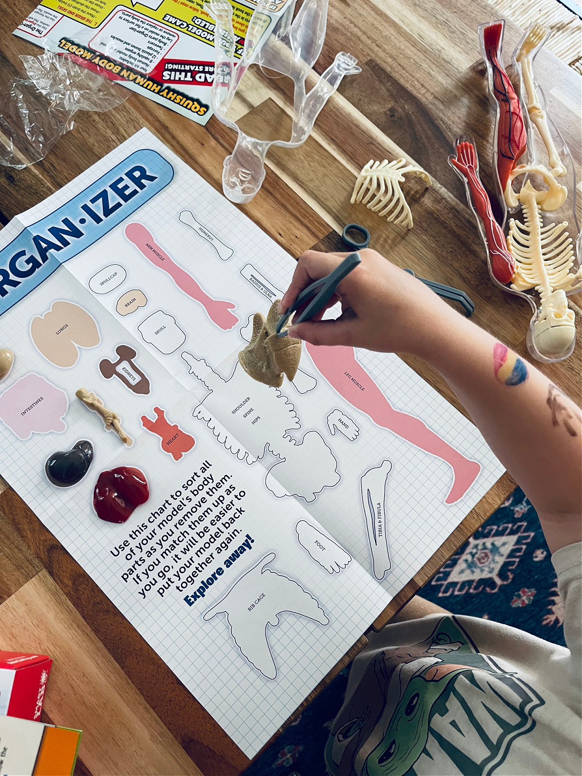 young child playing with Human Body toy from Usborne.