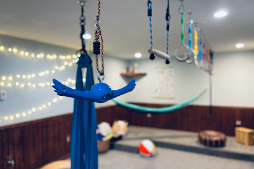 minimalist playroom with ninja rings, a swing and spinning monkey bar.