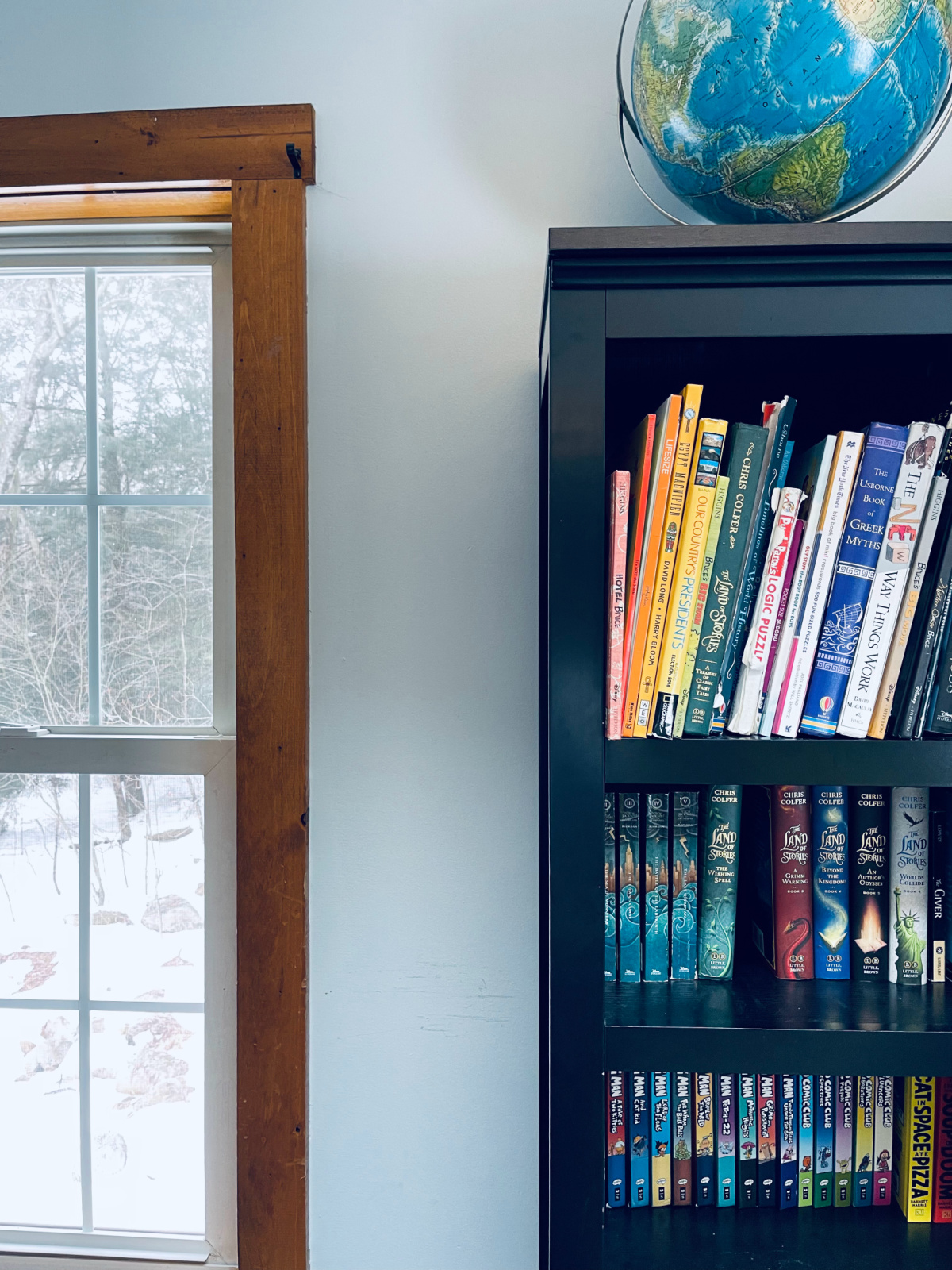 narrow black bookshelf filled with colorful books next to window, with globe on top of bookshelf.