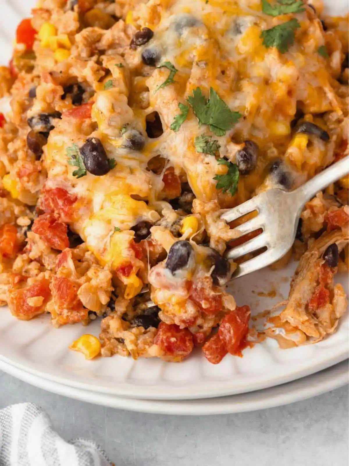cheesy Mexican chicken and rice with cilantro.