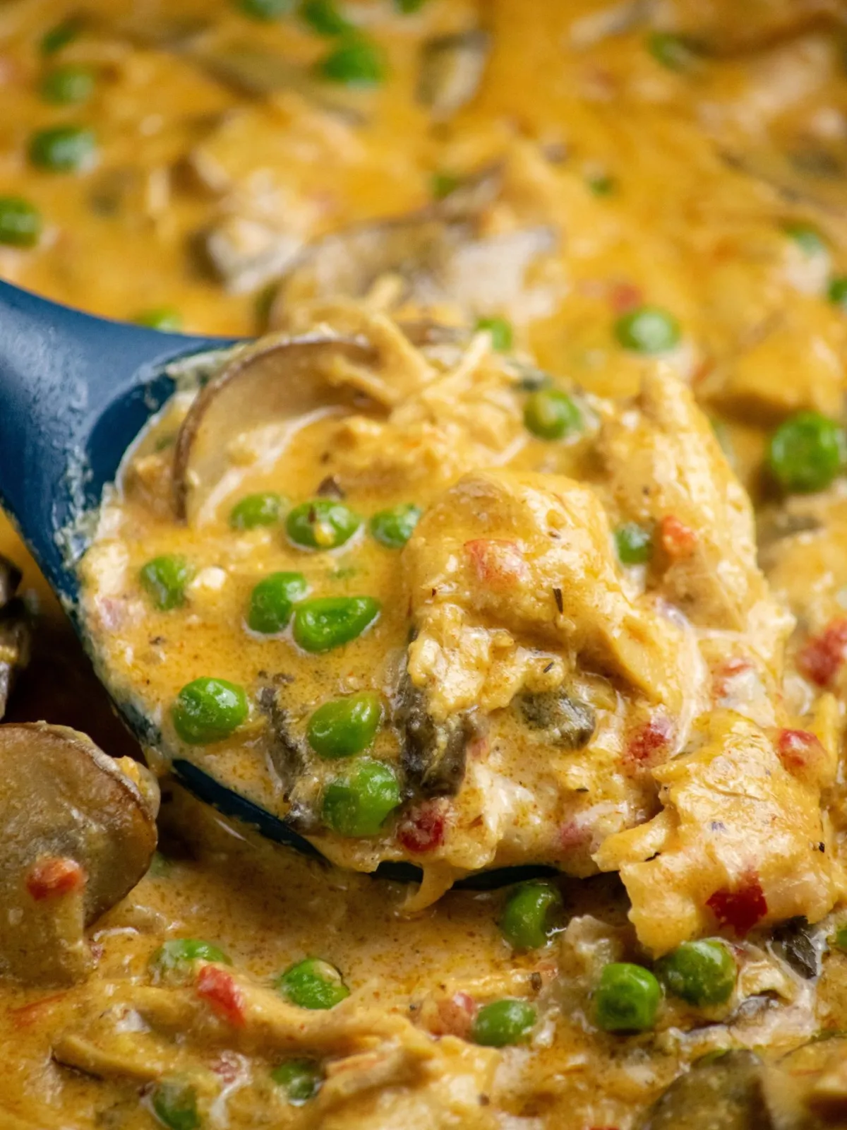 Chicken a la king with peas, mushrooms and chicken, close up on spoon.
