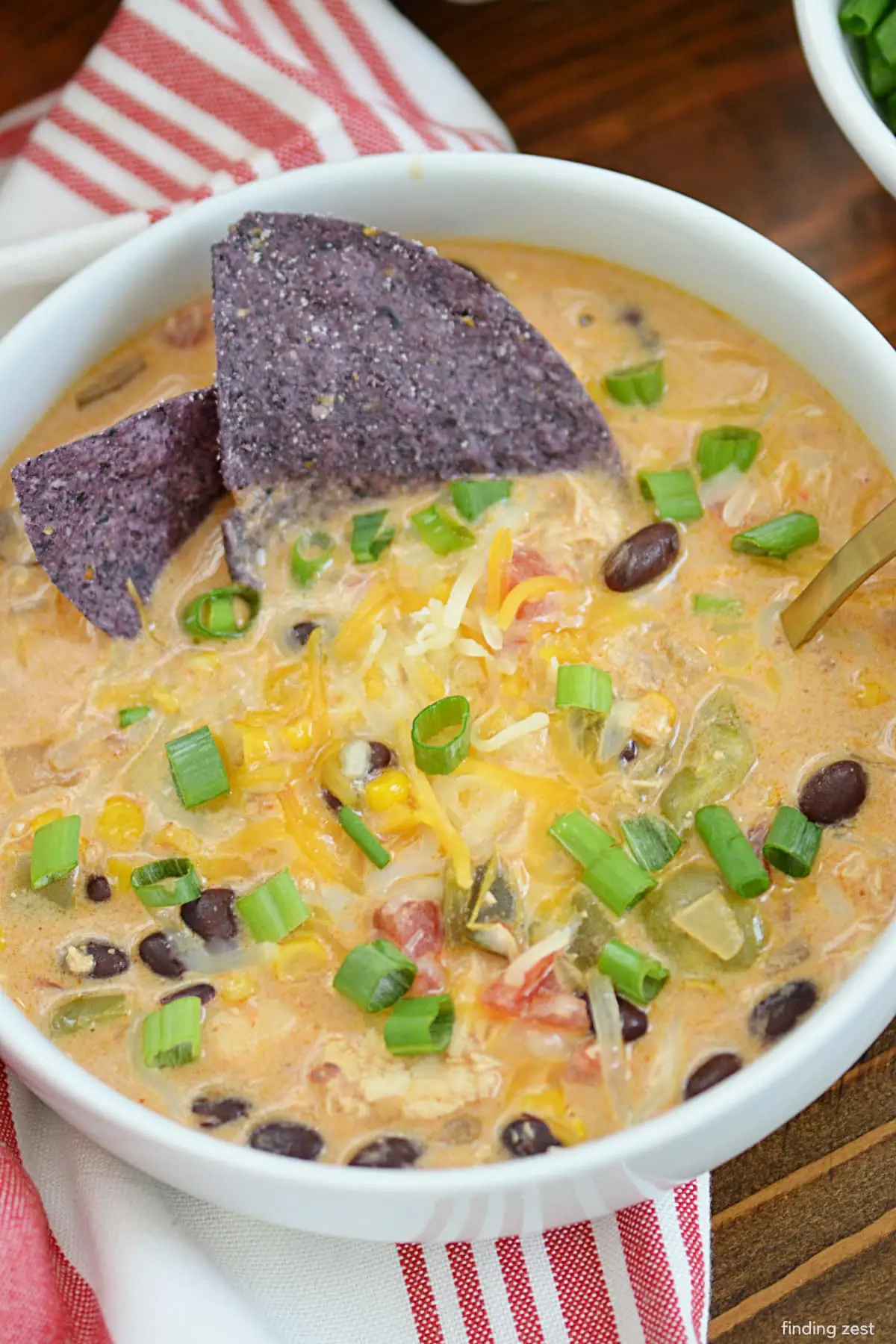 chicken enchilada soup with scallions and blue corn tortilla chips.