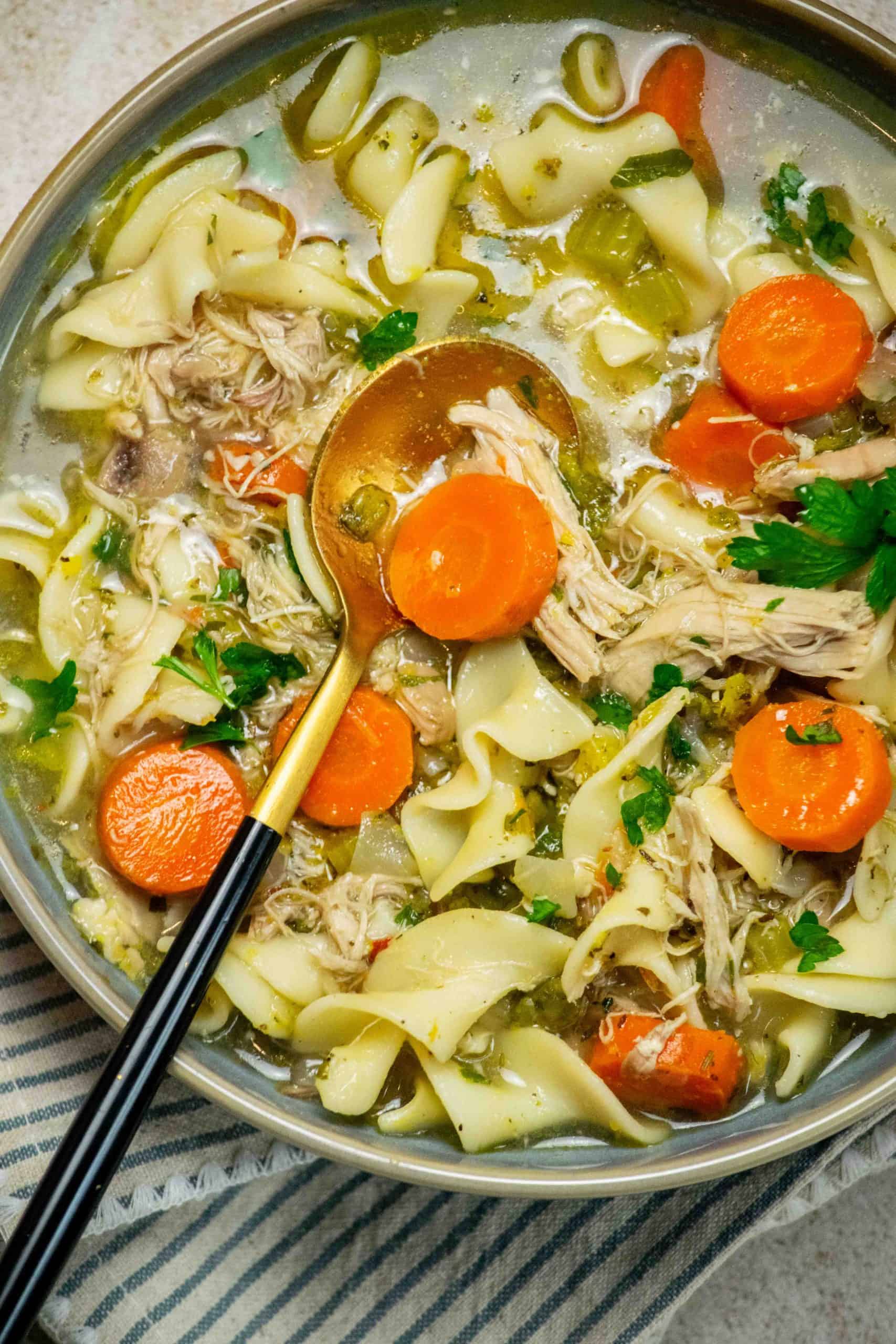 rotisserie chicken noodle soup with carrots and parsley in a bowl.