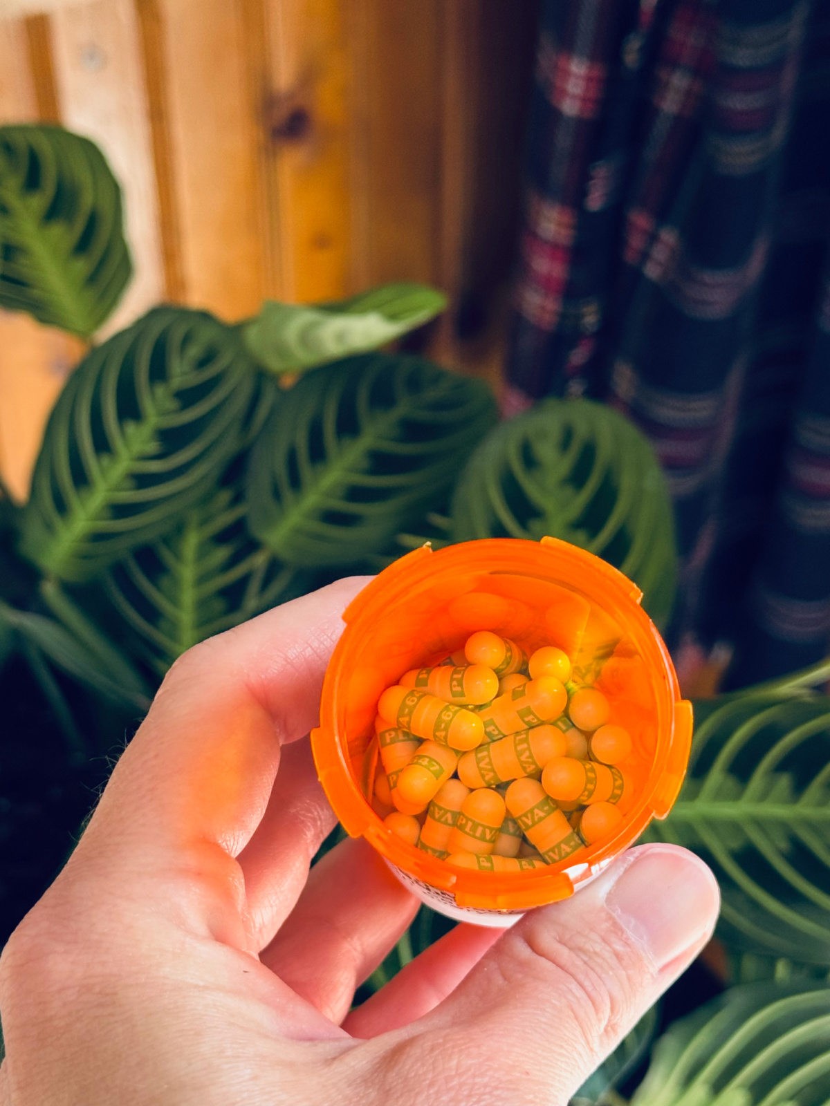 Close-up of pills in orange medication container.