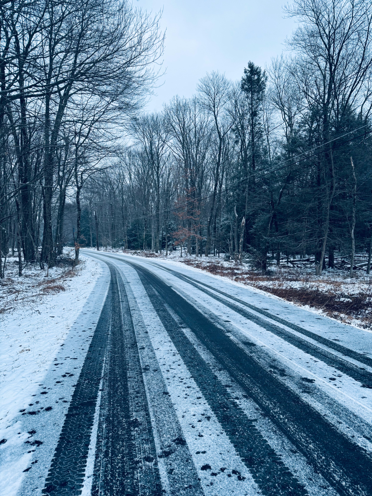 snowy road surrounded by trees