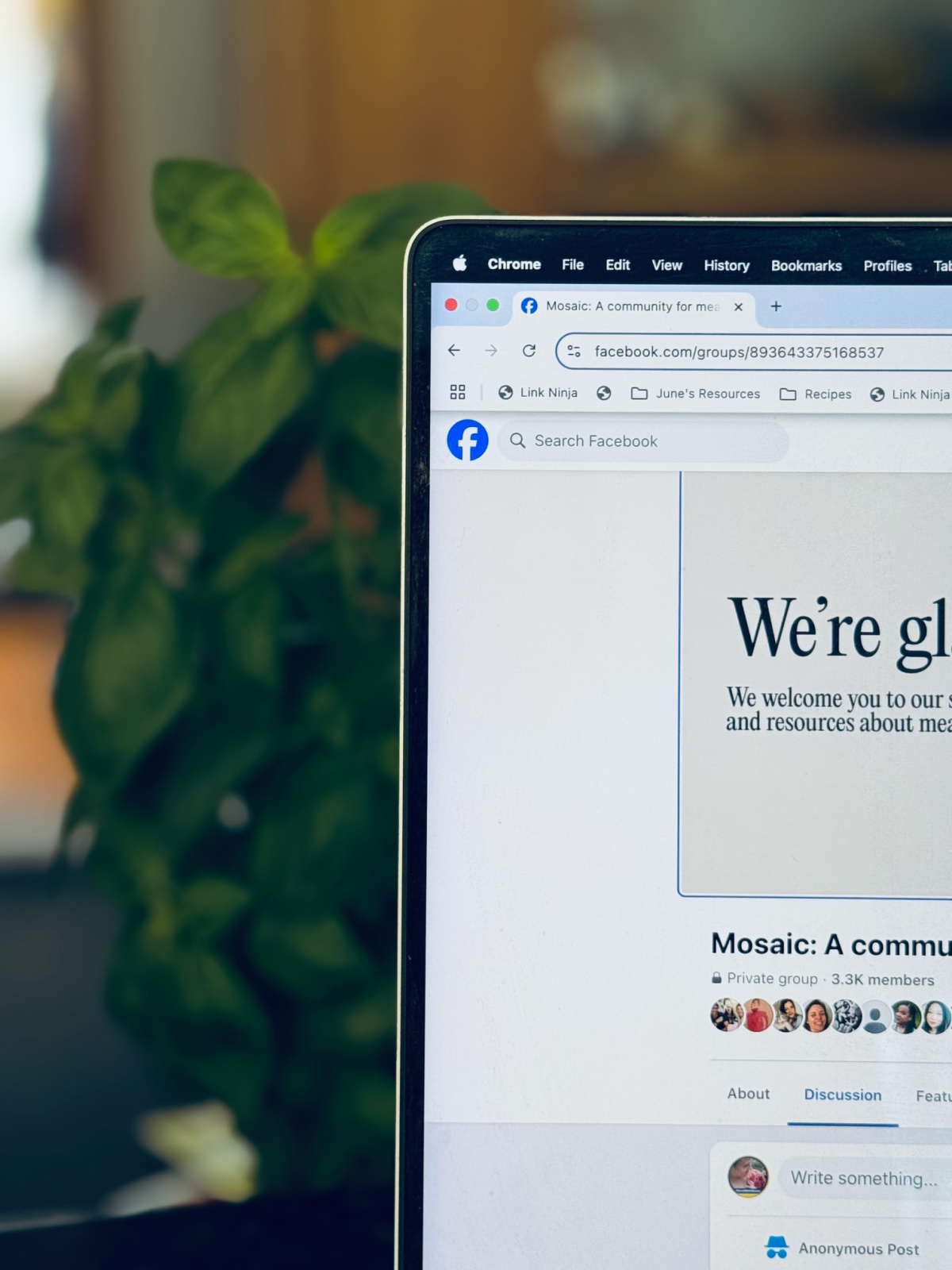 Close Up of Mosaic Unschooling Facebook Group on computer.