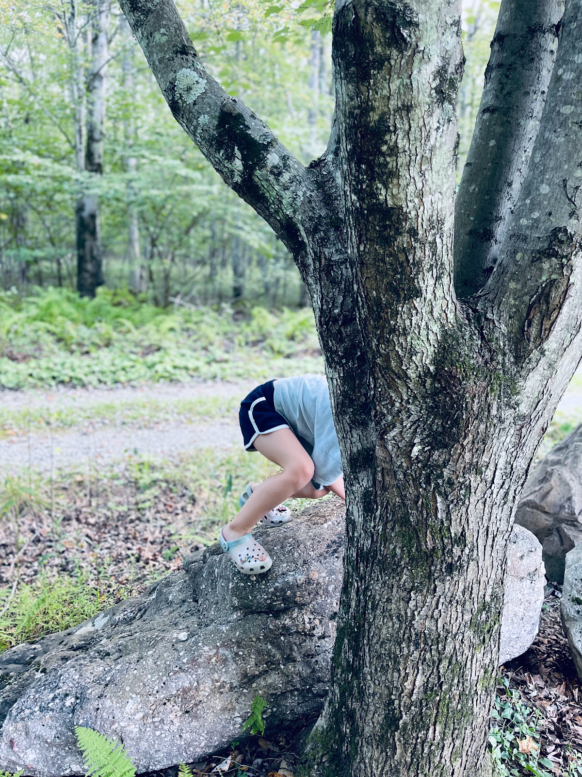 child crouching on rock, half hidden behind a tree.