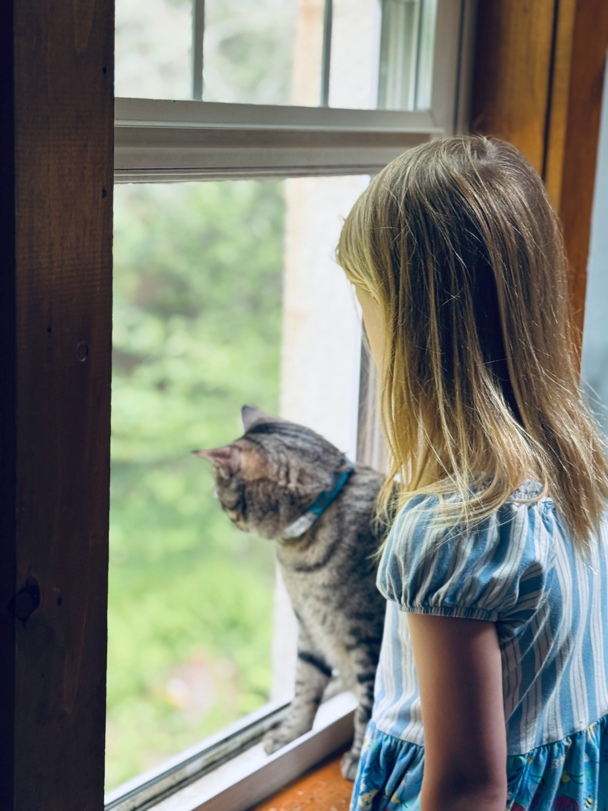first grader unschooled child with her cat looking out the window.