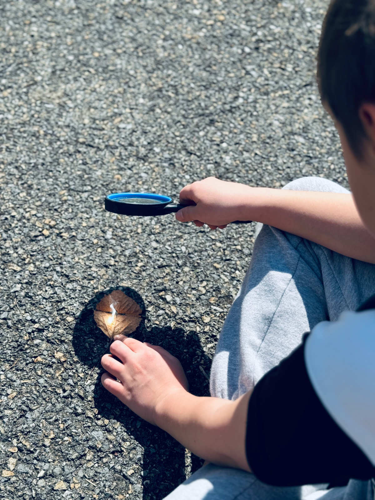 homeschooled child using magnifying glass burning a leaf.