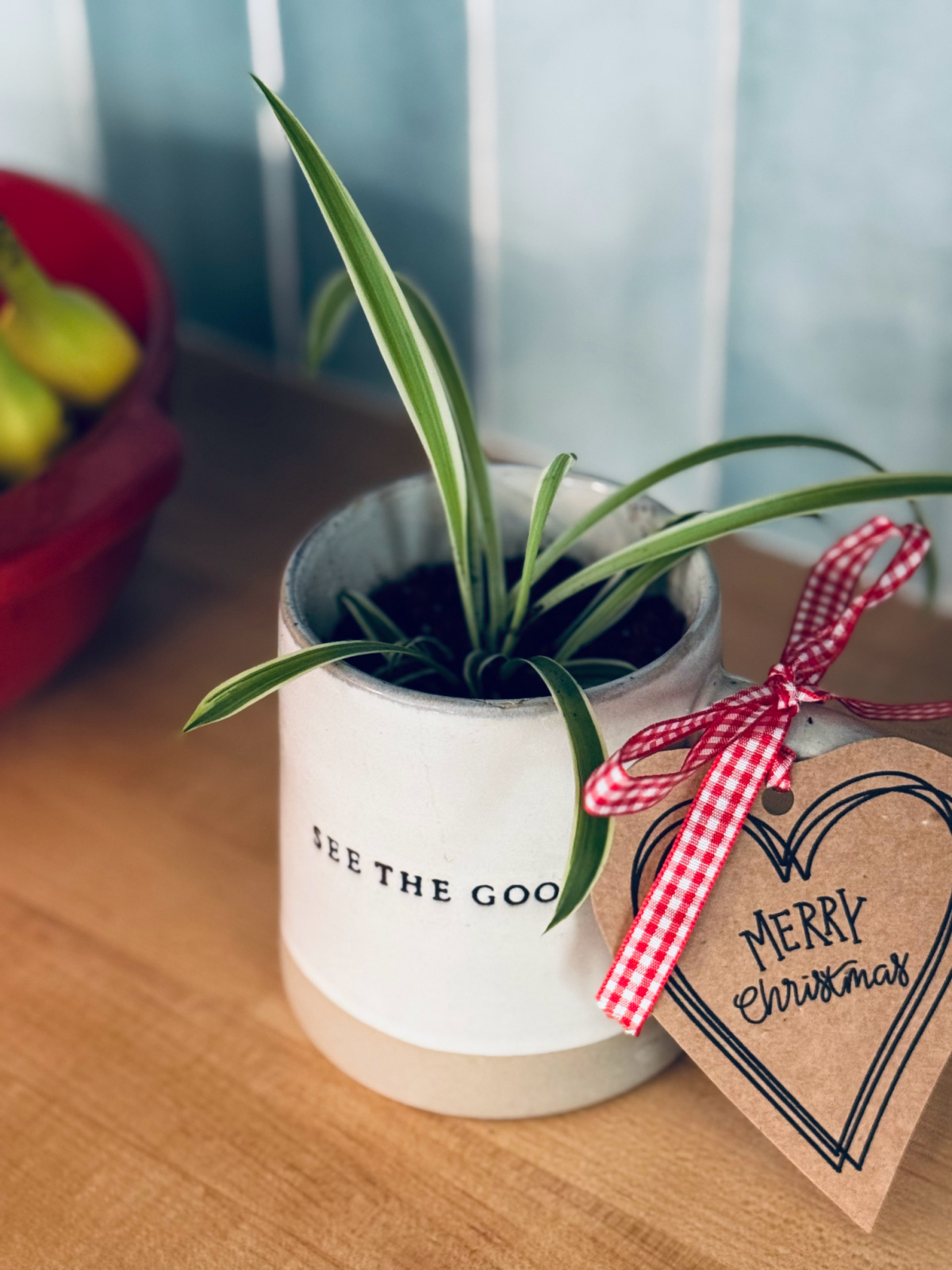 Small spider plant in "See the Good" mug with "Merry Christmas" gift tag on the handle.