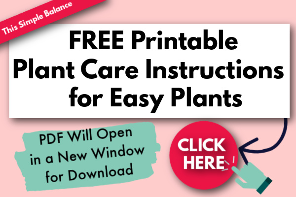 FREE printable plant care instructions for easy plants button - with text, "click here and PDF will open in a new window for download".