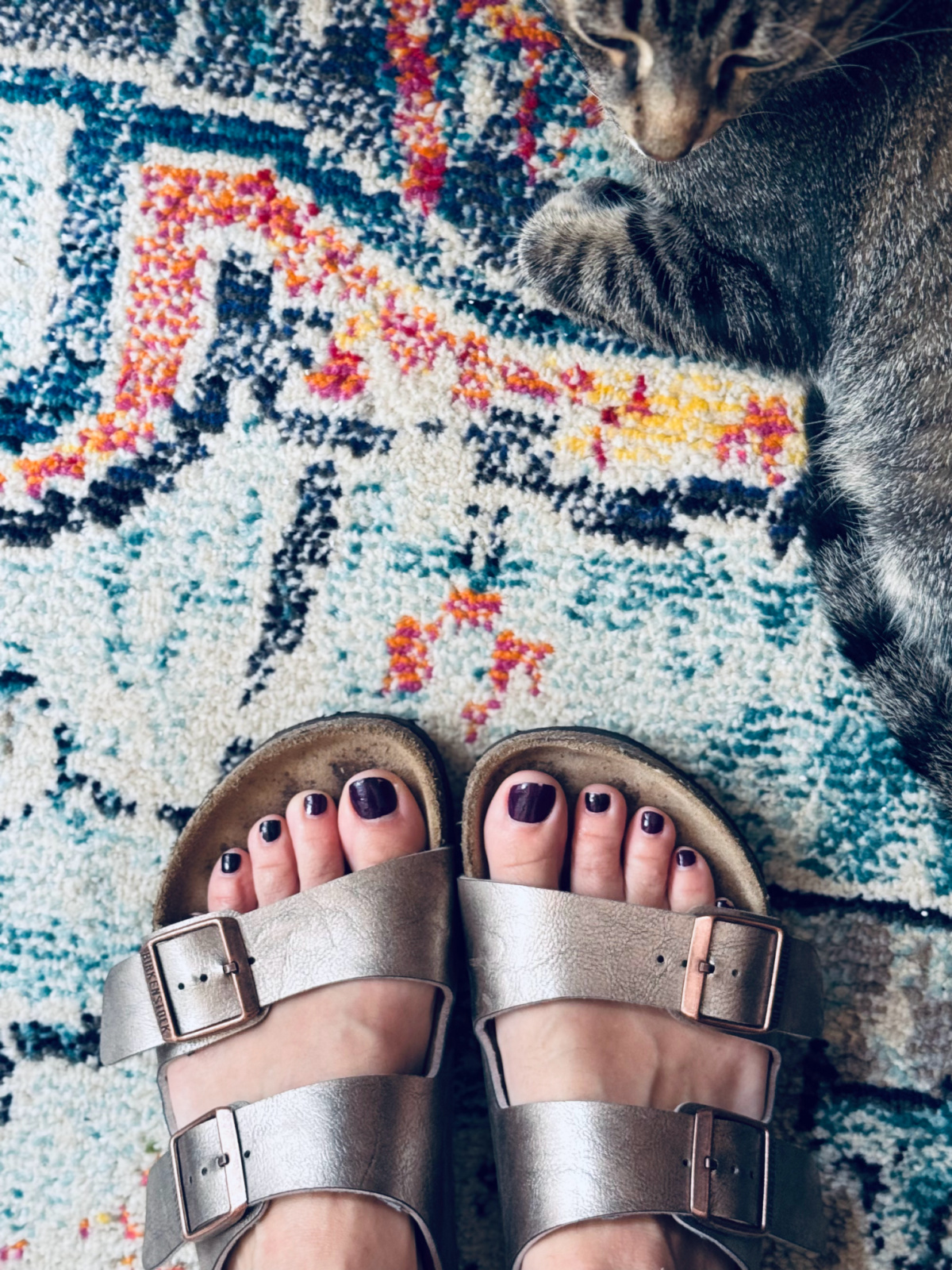 feet in gold Birkenstocks on colorful carpet with kitty cat in background.