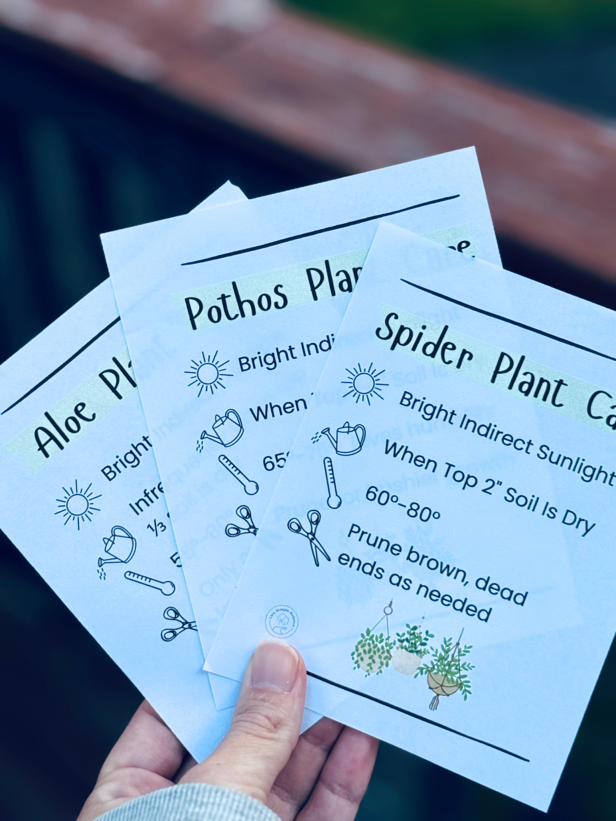 hand holding plant care instructions free printable, printed and cut out.