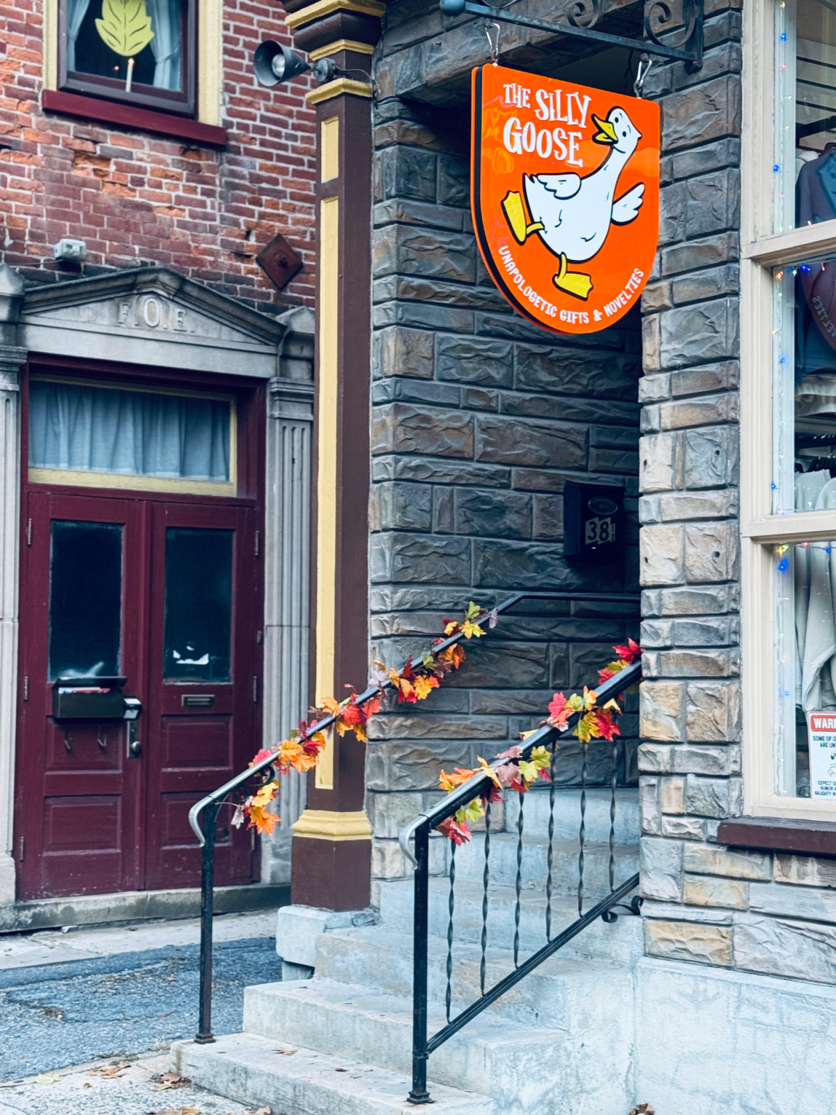 the silly goose shop sign in focus. 