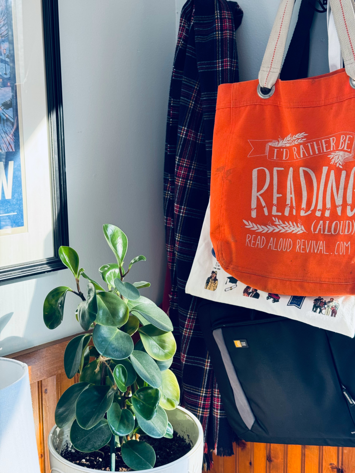 shopping bags hanging on wall with plant in background.