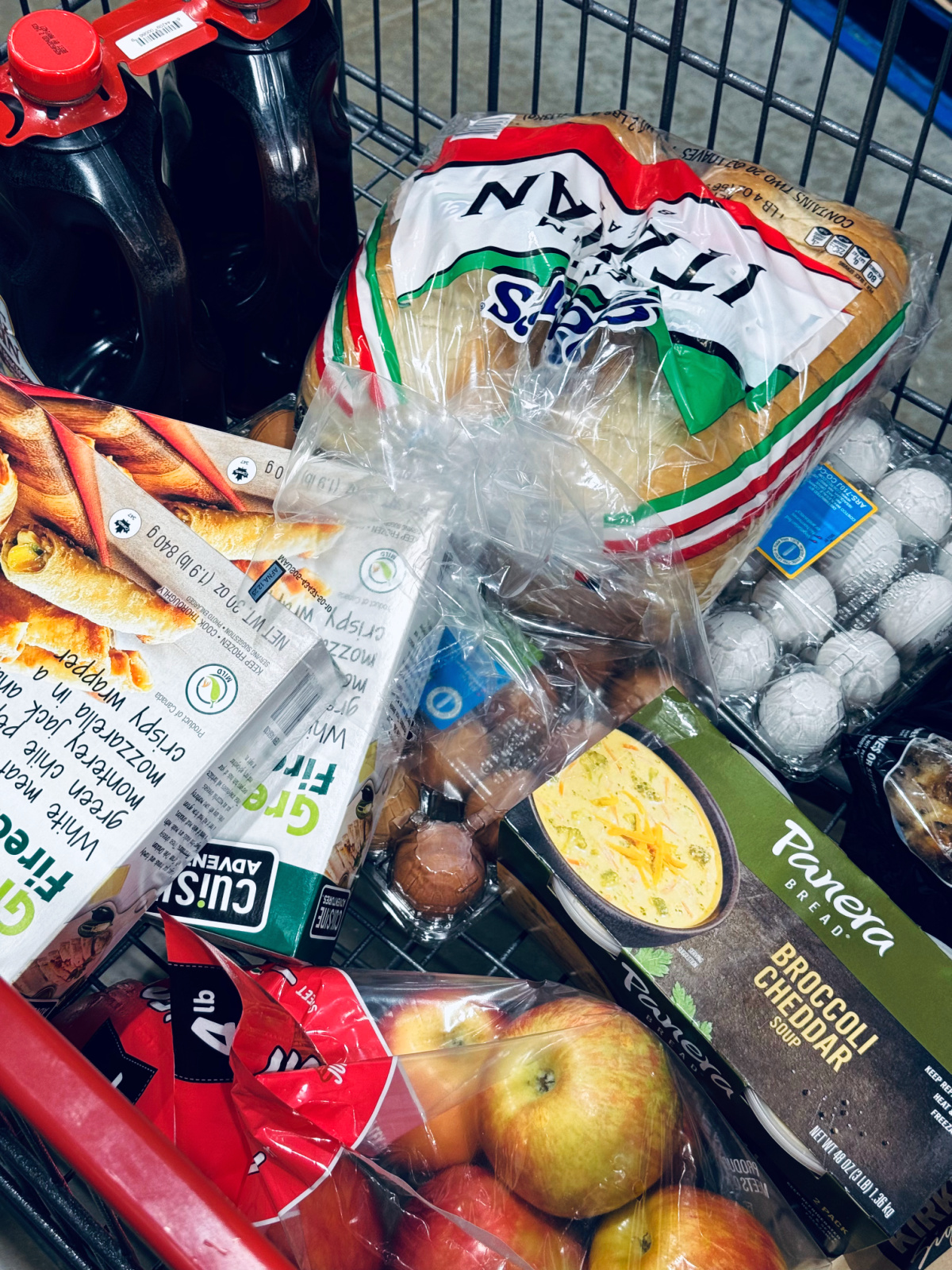 Costco products for family in grocery cart.