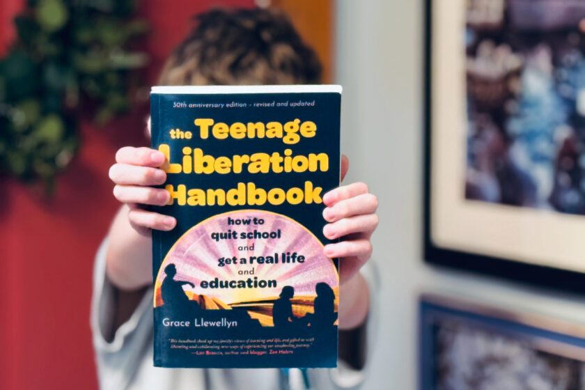 book the teenage liberation handbook in focus