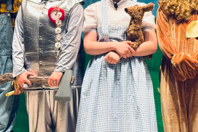 wizard of Oz main character costumes.