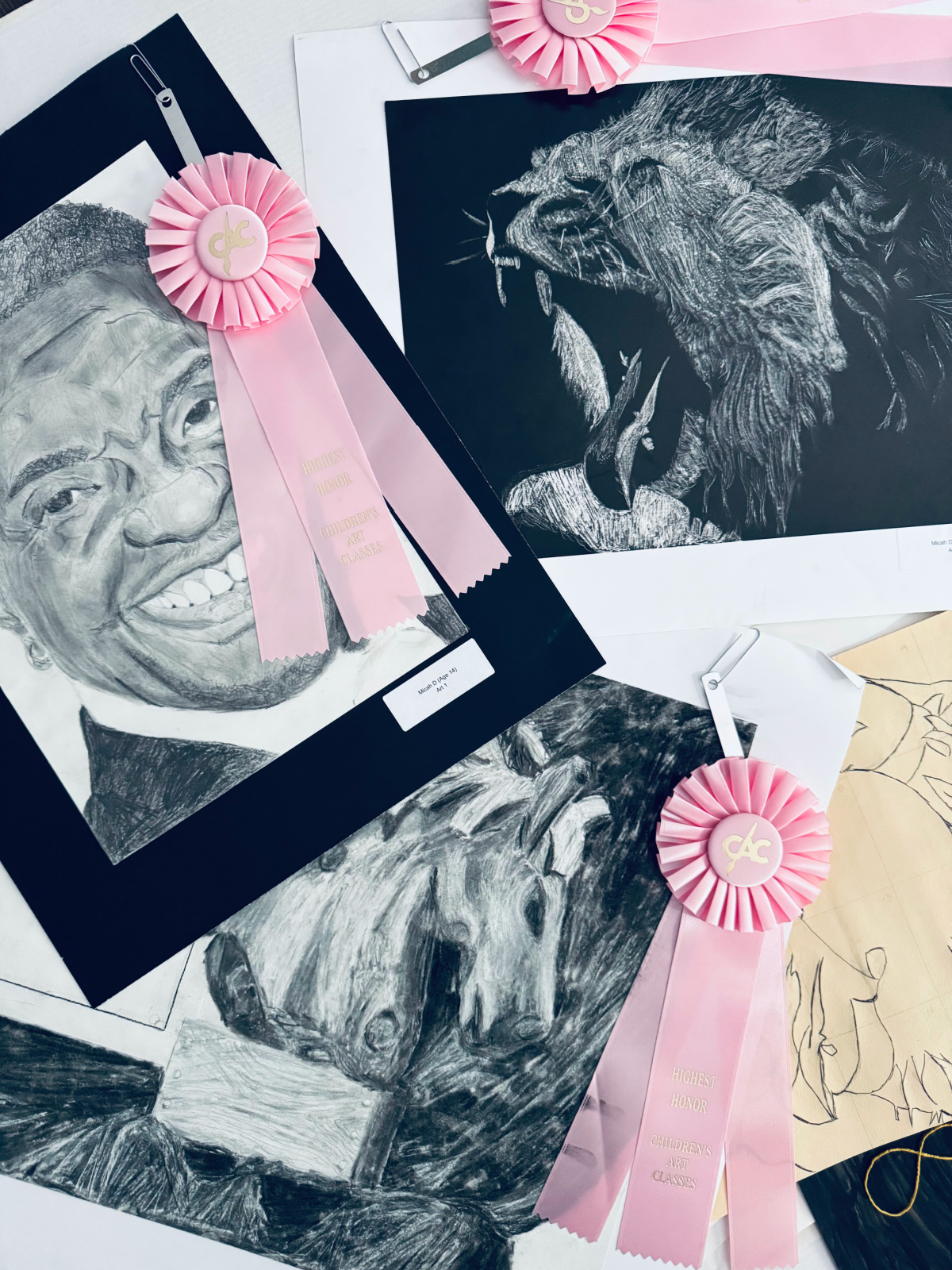 unschooling 9th grade artwork.
