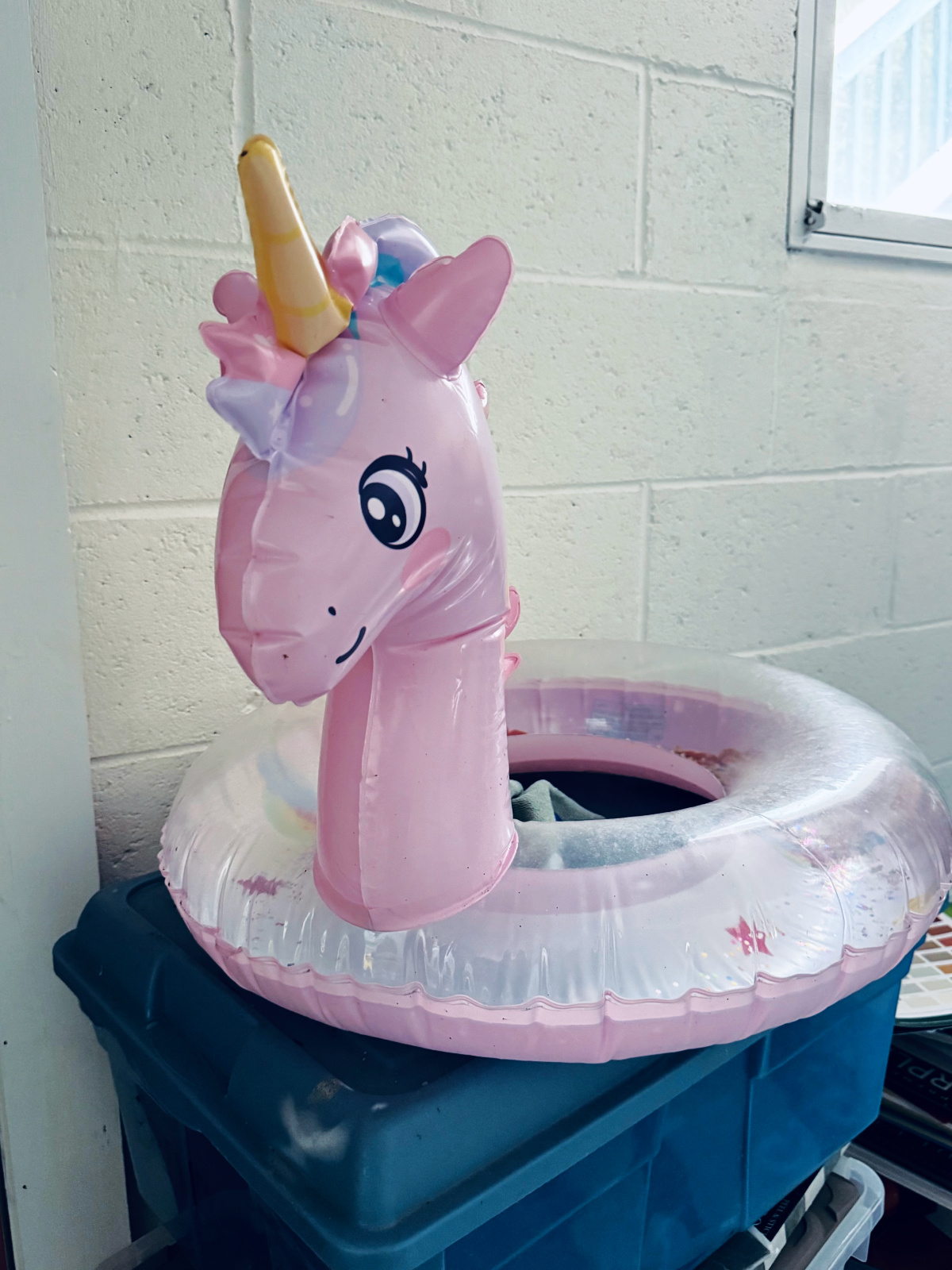 pink unicorn floatie ring ready to be decluttered.
