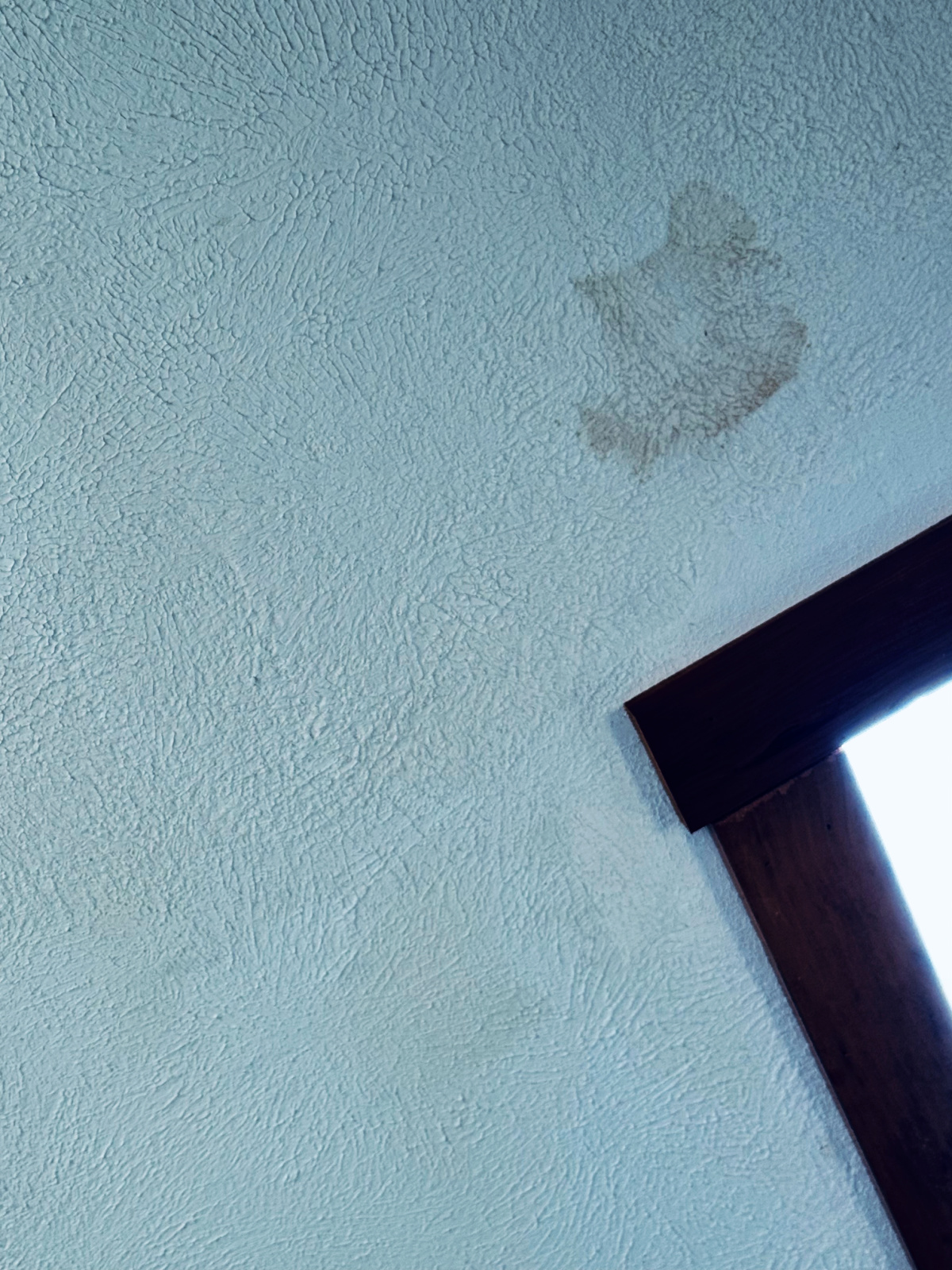 stain on white roof near skylight.
