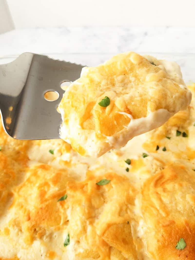serving of chicken alfredo crescent roll-ups close-up.